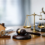 LLC Versus Corporation Liability Explained